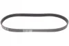 <strong>Пас поліклиновий VW Golf III/IV/Bora/Skoda Octavia CONTITECH 6PK906 (фото 5)</strong>