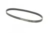 <strong>Пас поліклиновий Citroen Jumper/Peugeot Boxer 2.5D CONTITECH 6PK915 (фото 5)</strong>