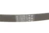 <strong>Клиновий ремінь CONTITECH 6PK922EXTRA (фото 4)</strong>