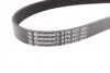 <strong>Пас поліклиновий VW T4/Caddy 1.9D/TD 90-03/Toyota CONTITECH 6PK923 (фото 2)</strong>