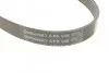 <strong>Пас поліклиновий VW Caddy/Golf/Passat 1.9-2.0 TDI CONTITECH 6PK948 (фото 3)</strong>