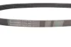 <strong>Пас поліклиновий VW Golf/Skoda Octavia 2.0i 04-13 CONTITECH 6PK955 (фото 2)</strong>