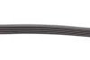 <strong>Пас поліклиновий VW Golf/Skoda Octavia 2.0i 04-13 CONTITECH 6PK955 (фото 3)</strong>