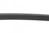 <strong>Пас поліклиновий Mazda 6 2.5 13-/Toyota Corolla 1. CONTITECH 6PK970 (фото 3)</strong>
