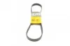 <strong>Пас поліклиновий Peugeot Partner/307/508 02-/Citro CONTITECH 6PK976 (фото 1)</strong>