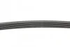<strong>Пас поліклиновий Peugeot Partner/307/508 02-/Citro CONTITECH 6PK976 (фото 2)</strong>