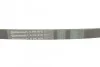<strong>Пас поліклиновий Peugeot Partner/307/508 02-/Citro CONTITECH 6PK976 (фото 3)</strong>