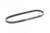 <strong>Пас поліклиновий Peugeot Partner/307/508 02-/Citro CONTITECH 6PK976 (фото 4)</strong>
