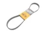 <strong>Ремінь генератора поліклиновий CONTITECH 6PK995 EXTRA (фото 1)</strong>