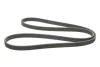<strong>Ремінь поліклиновий Audi Q7 3,6FSI 06>10, VW Touareg 3,6FSI 06>, 10> ContiTech CONTITECH 7DPK2074 (фото 4)</strong>