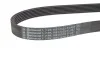 <strong>Клиновий ремінь CONTITECH 7PK1051ELAST (фото 3)</strong>