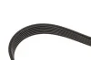 <strong>Клиновий ремінь CONTITECH 7PK1051ELAST (фото 4)</strong>