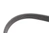 <strong>Клиновий ремінь CONTITECH 7PK1066EXTRA (фото 3)</strong>