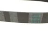 <strong>Пас поліклиновий Fiat Ducato 2.3JTD 02- CONTITECH 7PK1076 (фото 3)</strong>