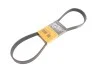 <strong>Клиновий ремінь CONTITECH 7PK1119EXTRA (фото 1)</strong>