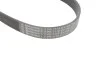 <strong>Клиновий ремінь CONTITECH 7PK1119EXTRA (фото 2)</strong>