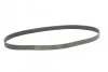 <strong>Ремінь приводу навісного обладнання CONTITECH 7PK1145 (фото 4)</strong>