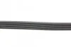 <strong>Пас поліклиновий Nissan Qashqai 1.6 07-13/Toyota L CONTITECH 7PK1153 (фото 2)</strong>
