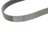 <strong>Пас поліклиновий Nissan Qashqai 1.6 07-13/Toyota L CONTITECH 7PK1153 (фото 4)</strong>