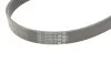 <strong>Клиновий ремінь CONTITECH 7PK1196EXTRA (фото 4)</strong>
