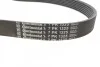 <strong>Ремінь генератора Iveco 2.3JTD CONTITECH 7PK1325 (фото 2)</strong>