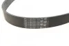 <strong>Ремінь генератора Iveco 2.3JTD CONTITECH 7PK1325 (фото 3)</strong>