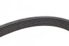 <strong>Ремінь генератора Iveco 2.3JTD CONTITECH 7PK1325 (фото 4)</strong>