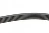 <strong>Пас поліклиновий CONTITECH 7PK1370 (фото 2)</strong>