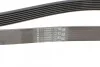 <strong>Пас поліклиновий CONTITECH 7PK1370 (фото 3)</strong>
