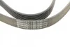 <strong>Пас поліклиновий Land Rover Defender/Discovery 2.5 CONTITECH 7PK1580 (фото 3)</strong>