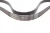 <strong>Пас поліклиновий BMW 5 (E34)/7 (E32/E38)/8 (E31) 3 CONTITECH 7PK1605 (фото 2)</strong>