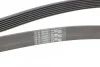 <strong>Ремінь поліклиновий Honda Accord 2,0i 08> ContiTech CONTITECH 7PK1635 (фото 3)</strong>