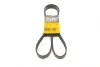 <strong>Пас поліклиновий Nissan Terrano/Patrol 3.0 DTi 00- CONTITECH 7PK1642 (фото 1)</strong>