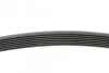 <strong>Пас поліклиновий Nissan Terrano/Patrol 3.0 DTi 00- CONTITECH 7PK1642 (фото 2)</strong>