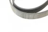 <strong>Пас поліклиновий Nissan Terrano/Patrol 3.0 DTi 00- CONTITECH 7PK1642 (фото 3)</strong>