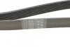 <strong>Пас поліклиновий Nissan Terrano/Patrol 3.0 DTi 00- CONTITECH 7PK1642 (фото 4)</strong>