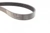 <strong>Пас поліклиновий Мастер 2.3dci 10-/Меган CONTITECH 7PK1687 (фото 2)</strong>