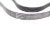 <strong>Пас поліклиновий H-1/Kia Sorento 2.5CRDi 0 CONTITECH 7PK1715 (фото 3)</strong>