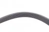 <strong>Пас поліклиновий H-1/Kia Sorento 2.5CRDi 0 CONTITECH 7PK1715 (фото 4)</strong>