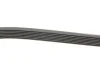 <strong>Пас поліклиновий Honda CR-V 2.0 01-06 CONTITECH 7PK1730 (фото 2)</strong>