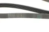 <strong>Пас поліклиновий Honda CR-V 2.0 01-06 CONTITECH 7PK1730 (фото 3)</strong>