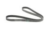 <strong>Пас поліклиновий Honda CR-V 2.0 01-06 CONTITECH 7PK1730 (фото 4)</strong>