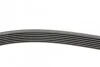 <strong>Ремень генератора Megane/Scenic 1.4 16V 09- CONTITECH 7PK1785 (фото 2)</strong>