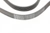 <strong>Ремень генератора Megane/Scenic 1.4 16V 09- CONTITECH 7PK1785 (фото 3)</strong>