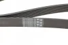 <strong>Ремень генератора Megane/Scenic 1.4 16V 09- CONTITECH 7PK1785 (фото 4)</strong>