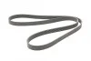 <strong>Ремень генератора Megane/Scenic 1.4 16V 09- CONTITECH 7PK1785 (фото 5)</strong>
