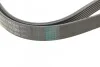 <strong>Ремінь поліклиновий Toyota Camry V40 2,4i 07> ContiTech CONTITECH 7PK1910 (фото 3)</strong>