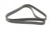 <strong>Ремінь поліклиновий Toyota Camry V40 2,4i 07> ContiTech CONTITECH 7PK1910 (фото 5)</strong>