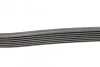 <strong>Ремінь поліклиновий Toyota Rav4 2,0i 00>06, LC120 Prado 3,0d 02>09 ContiTech CONTITECH 7PK1933 (фото 2)</strong>