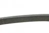 <strong>Пас поліклиновий MB Sprinter 3.0CDI OM642 CONTITECH 7PK2035 (фото 2)</strong>